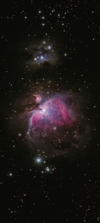 astronomy, stars, nebula Wallpaper 1080x2400