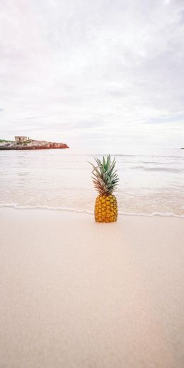 shore, sea, pineapple Wallpaper 720x1440