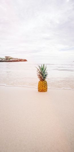 shore, sea, pineapple Wallpaper 1080x2220