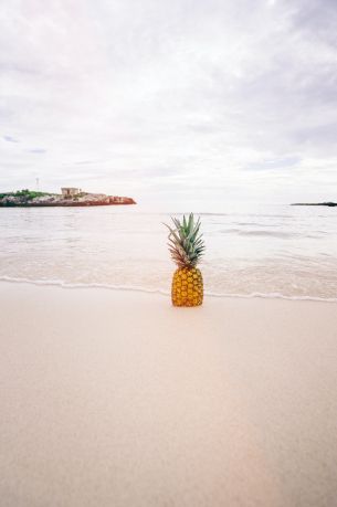 shore, sea, pineapple Wallpaper 3875x5836