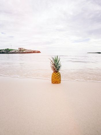 Обои 1620x2160 берег, море, ананас
