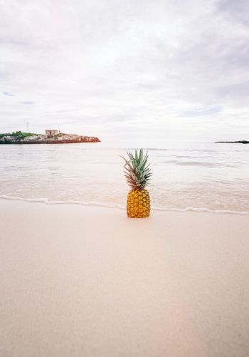 shore, sea, pineapple Wallpaper 1668x2388