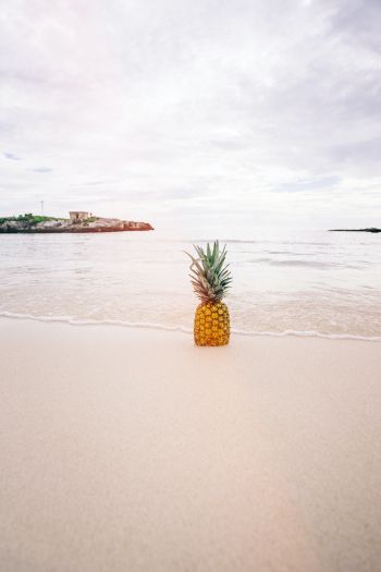 Обои 640x960 берег, море, ананас