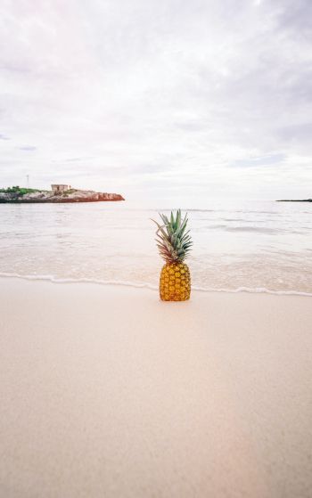 shore, sea, pineapple Wallpaper 1752x2800
