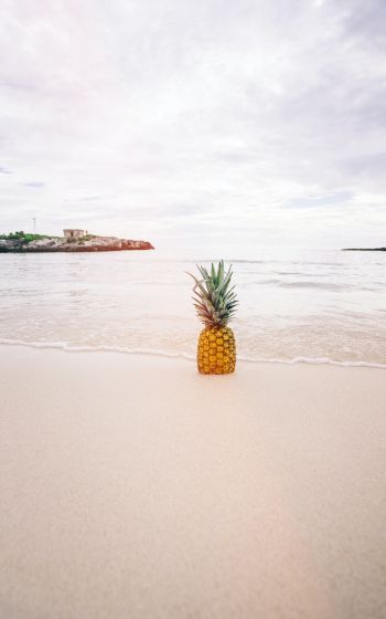 Обои 800x1280 берег, море, ананас