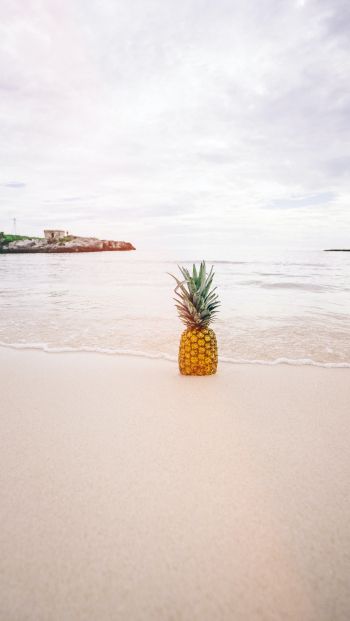Обои 640x1136 берег, море, ананас