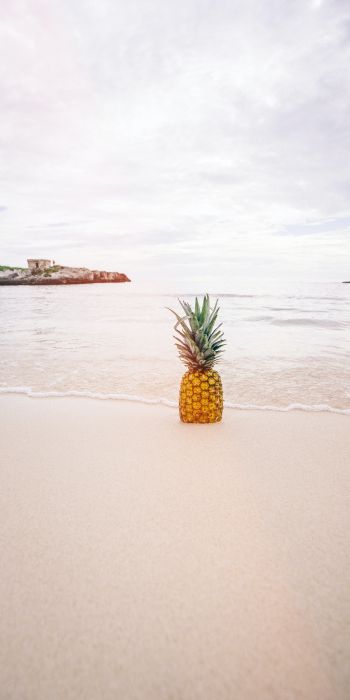 shore, sea, pineapple Wallpaper 720x1440