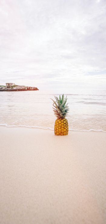 shore, sea, pineapple Wallpaper 1440x3040