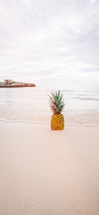 shore, sea, pineapple Wallpaper 1242x2688