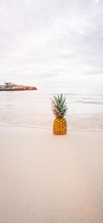 shore, sea, pineapple Wallpaper 1080x2340