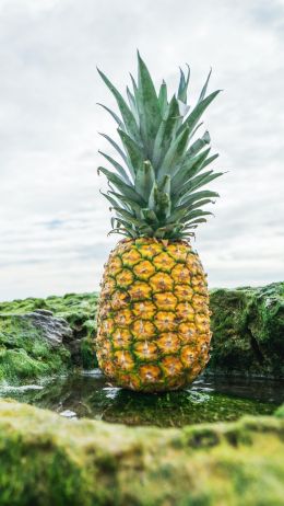 pineapple, fruit, green Wallpaper 1440x2560