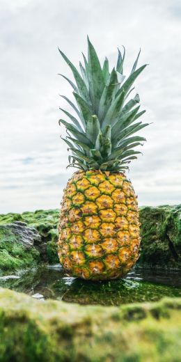 pineapple, fruit, green Wallpaper 720x1440