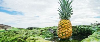 pineapple, fruit, green Wallpaper 2560x1080