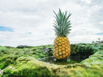 pineapple, fruit, green Wallpaper 1024x768