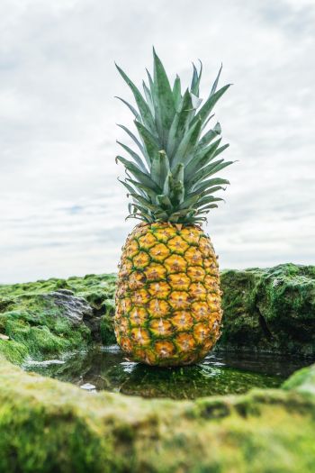 pineapple, fruit, green Wallpaper 640x960