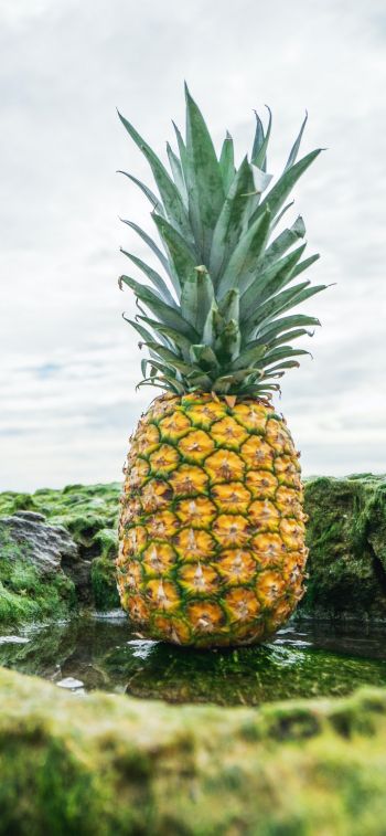 pineapple, fruit, green Wallpaper 1284x2778