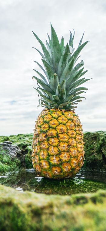 pineapple, fruit, green Wallpaper 1080x2340