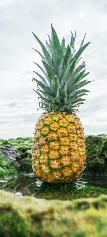 pineapple, fruit, green Wallpaper 720x1600