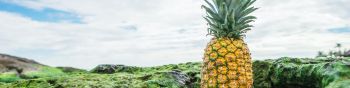 pineapple, fruit, green Wallpaper 1590x400