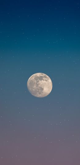 moon, starry sky Wallpaper 1440x2960