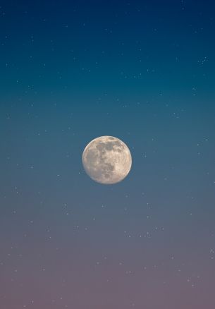 moon, starry sky Wallpaper 1640x2360