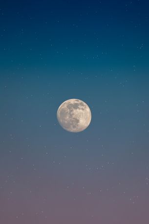moon, starry sky Wallpaper 640x960
