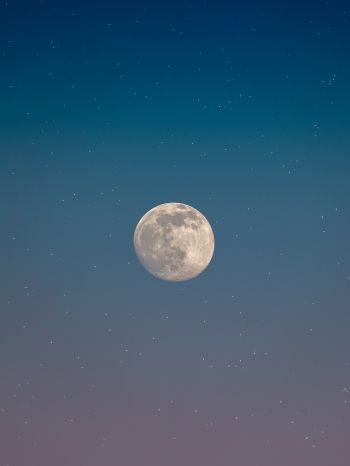moon, starry sky Wallpaper 1668x2224