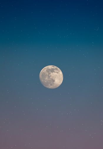 moon, starry sky Wallpaper 1640x2360