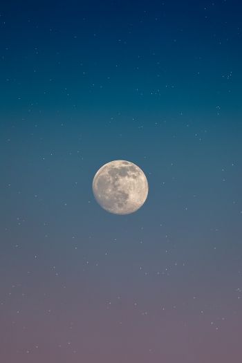 moon, starry sky Wallpaper 640x960