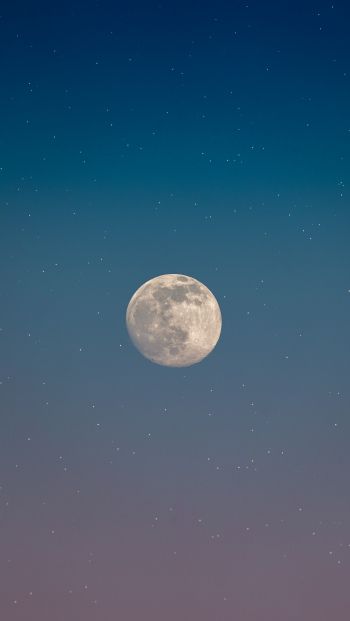 moon, starry sky Wallpaper 640x1136