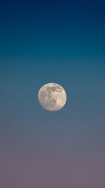 moon, starry sky Wallpaper 1440x2560