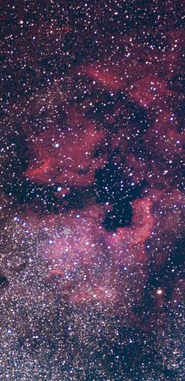 nebula, stars Wallpaper 1080x2220