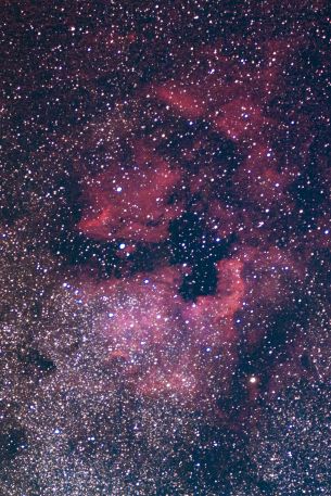 nebula, stars Wallpaper 640x960