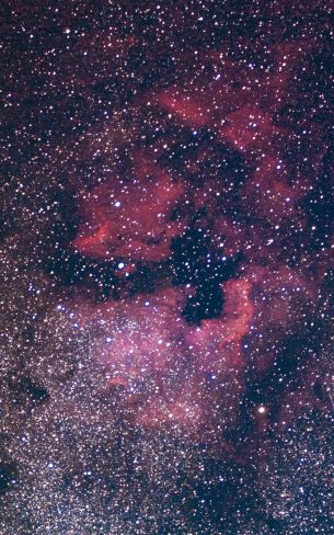 nebula, stars Wallpaper 800x1280