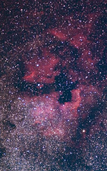 nebula, stars Wallpaper 1752x2800