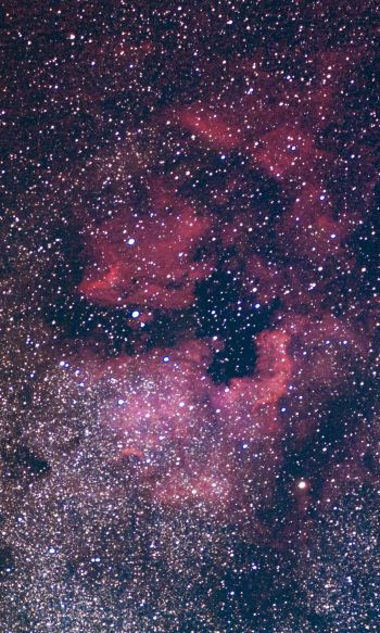 nebula, stars Wallpaper 1200x2000