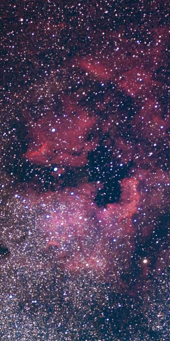 nebula, stars Wallpaper 720x1440