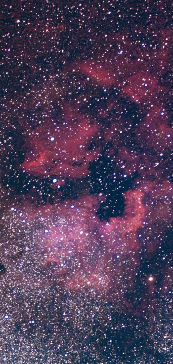 nebula, stars Wallpaper 720x1520