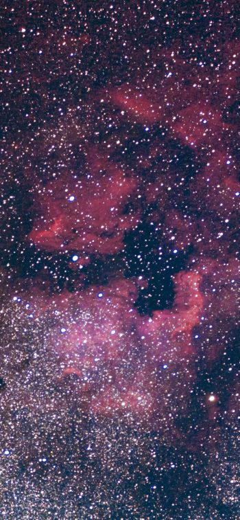 Обои 828x1792 туманность, звезды