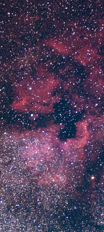 nebula, stars Wallpaper 1080x2400