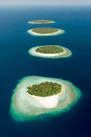Maldives, bird's eye view, islands Wallpaper 640x960
