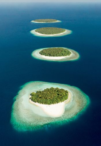 Maldives, bird's eye view, islands Wallpaper 1640x2360