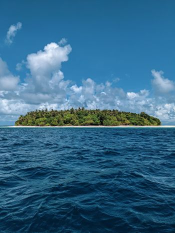 Обои 1668x2224 Мальдивы, остров, океан