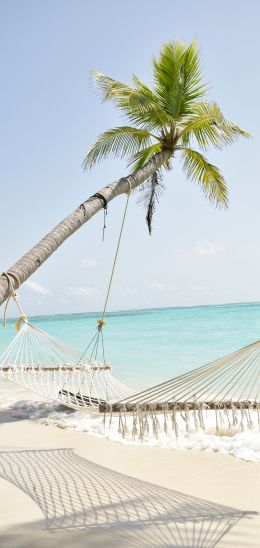 Maldives, hammock, palm tree Wallpaper 720x1520