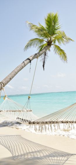 Maldives, hammock, palm tree Wallpaper 1284x2778