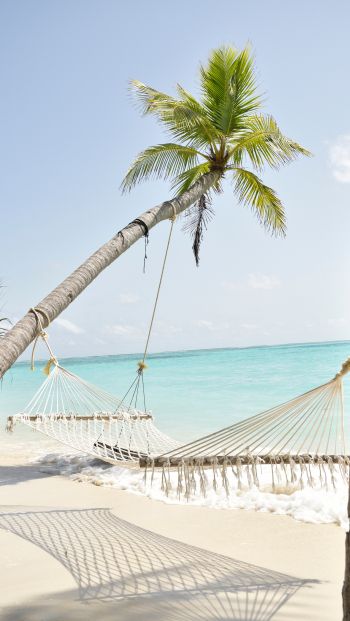Maldives, hammock, palm tree Wallpaper 640x1136