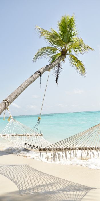 Maldives, hammock, palm tree Wallpaper 720x1440