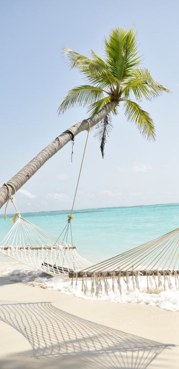 Maldives, hammock, palm tree Wallpaper 1080x2220