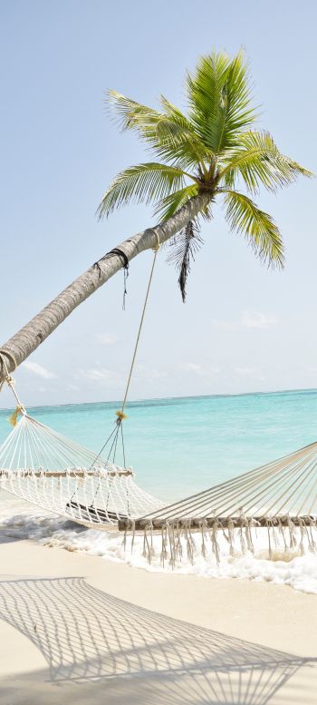 Maldives, hammock, palm tree Wallpaper 1080x2400
