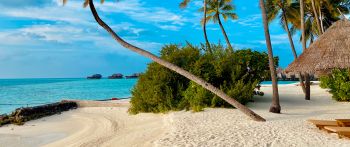 Обои 2560x1080 пляж, Мальдивы, пальмы